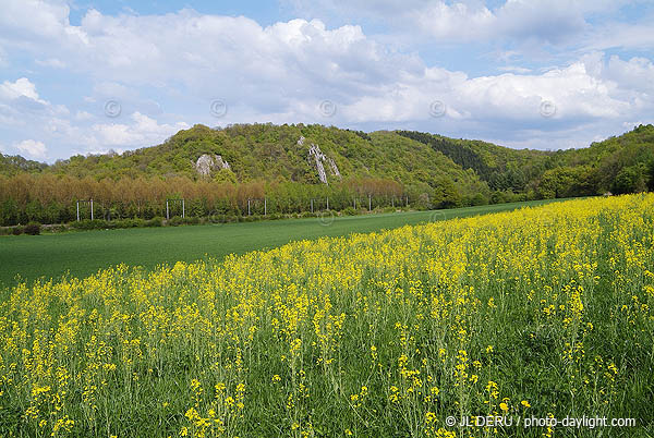 agriculture